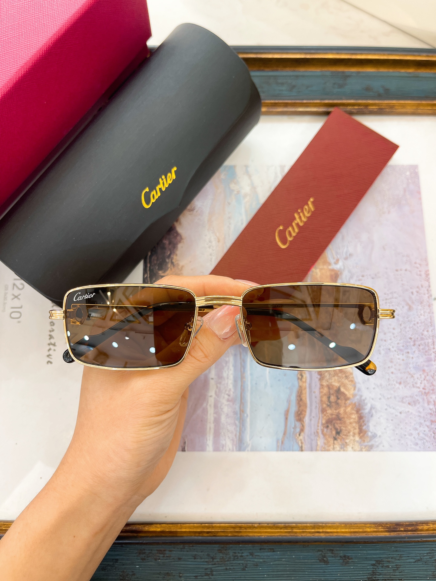 Cartier CT0630S Full - Rim Rectangular Sunglasses