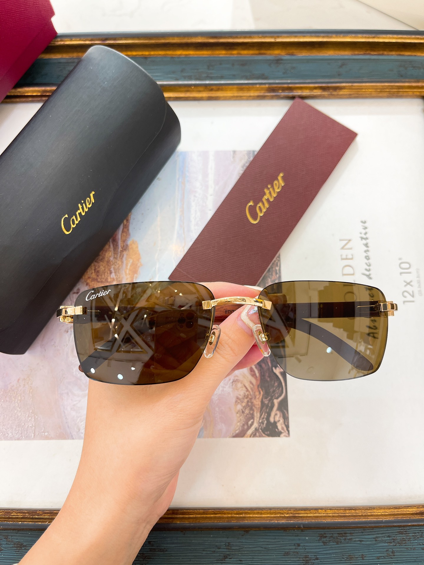 Cartier CT0228S Eyeglasses