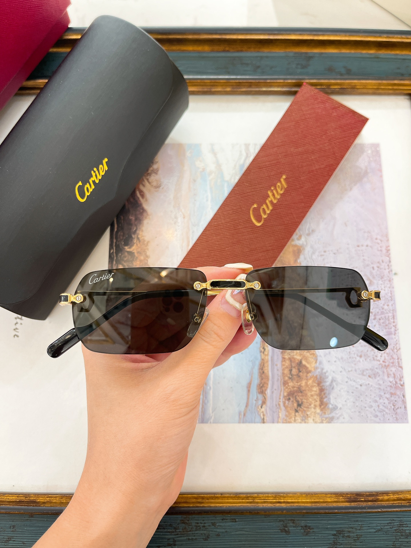 Cartier CT0498S Rimless Square Sunglasses