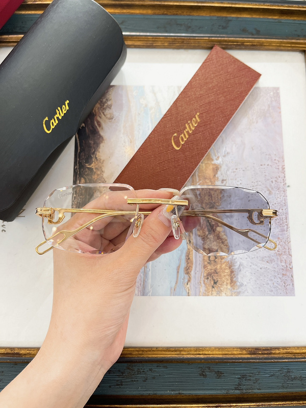 Cartier Panthère Optical Collection CT0113O