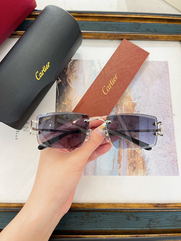 Cartier Panthère Optical Collection CT0094O